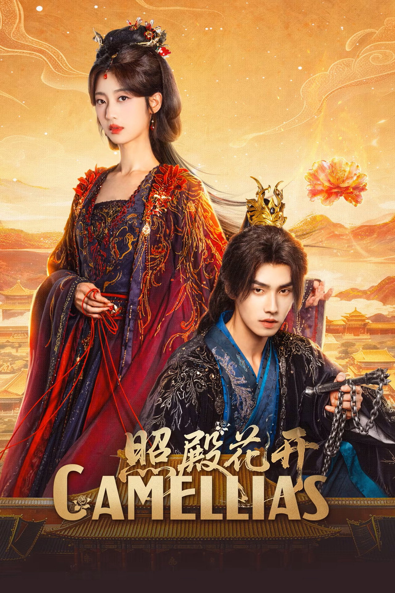 Poster phim Chiếu Điện Hoa Khai trên Phim Mới
