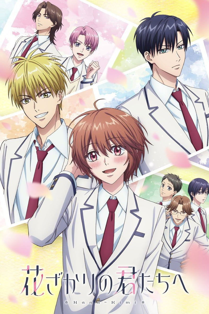 Hana Kimi